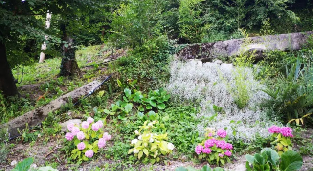 Номер Standard B&B Il Poggio
