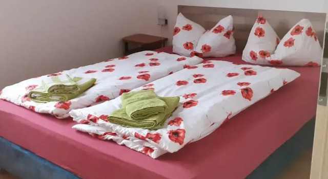 Двухместный номер Standard Pension Lindenhof Drabsch