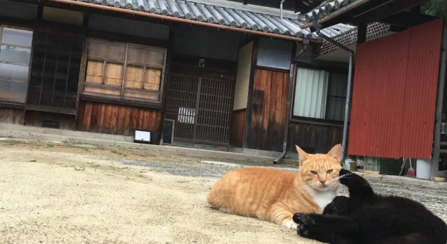 Коттедж 草地家 猫と図書館のある宿