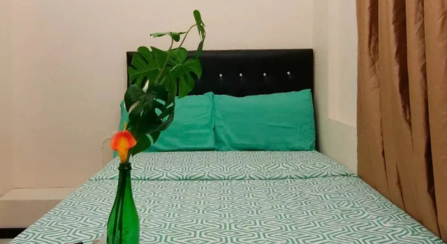 Номер Economy 876 JA Oasis & Homestay - by Kingston Airport
