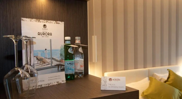 Двухместный номер Standard Hotel Aurora