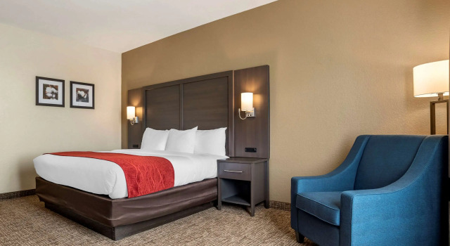 Двухместный номер Standard Comfort Inn & Suites Millbrook-Prattville