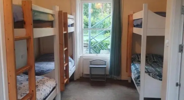 Кровать в общем номере The Grapevine Hostel