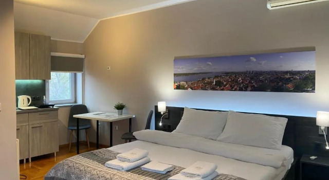 Студия Aleksei Apartmani