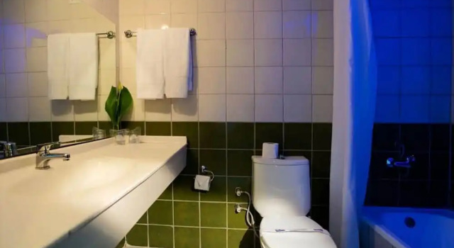 Семейный номер Standard с балконом Blue Pine Hotel