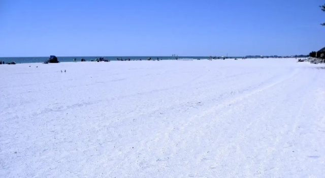 Апартаменты Anna Maria Island Beach Palms 8B