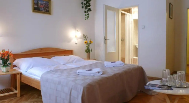 Одноместный номер Standard Pension Prague City