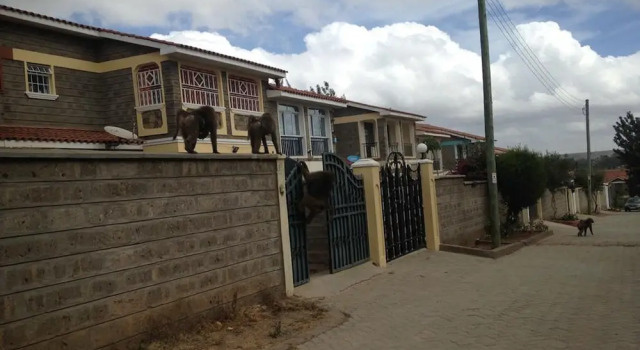 Chester View Homestay, Prenota Ostello Hotel economici a Syokimau