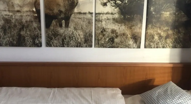 Номер Economy Berghotel HARZ