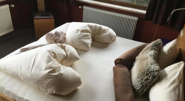 Семейный номер Standard Hotel Ehrwalderhof