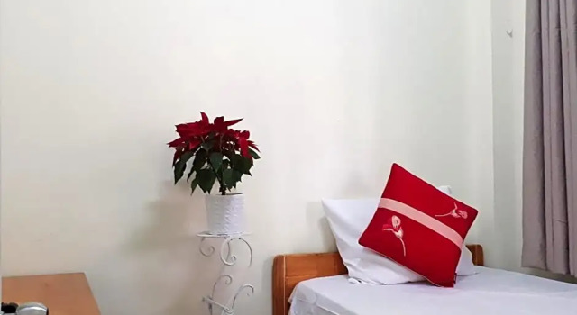 Номер Economy Forget Me Not Hotel