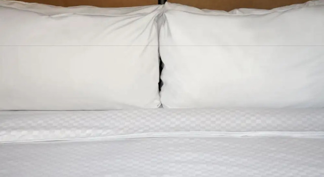 Люкс c 1 комнатой Four Points by Sheraton Dallas Fort Worth Airport North