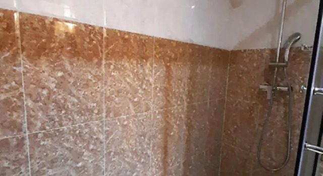 Номер Standard Swan Hotel