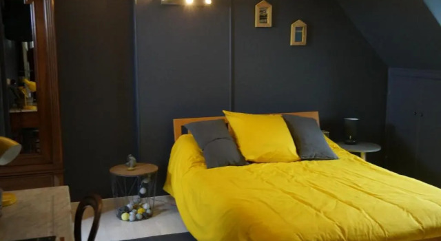 Номер Standard Le Petit Chaton