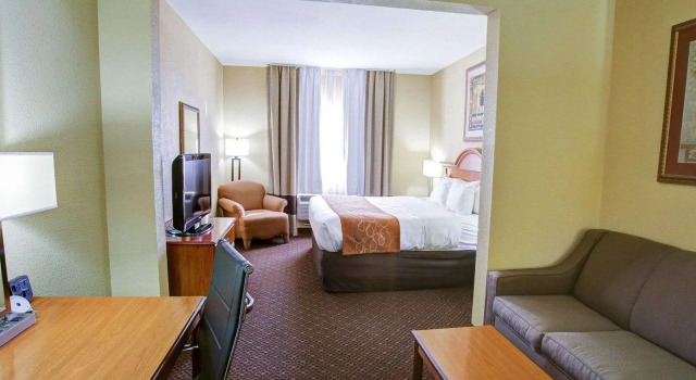 Двухместный люкс Comfort Suites Brenham
