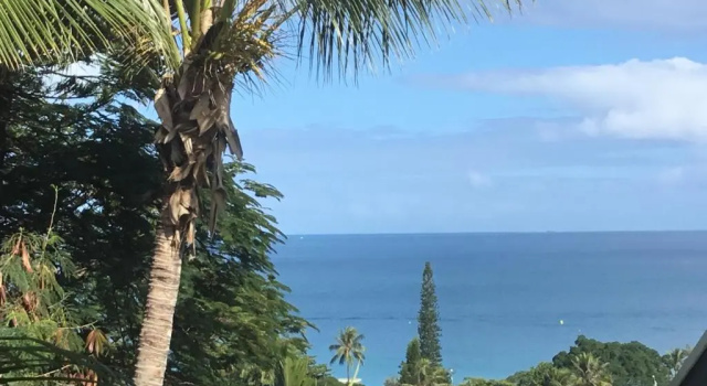 Résidence les cactus, Reserva ahora Hotel Numea Nueva Caledonia