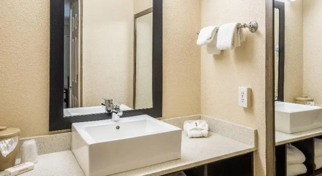 Двухместный номер Deluxe Red Roof Inn Tampa Bay - St. Petersburg