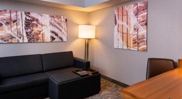 Студия SpringHill Suites by Marriott Pittsburgh North Shore