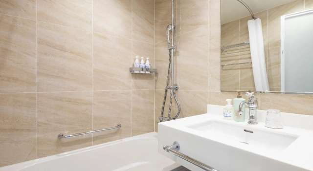 Одноместный номер Standard Takarazuka Hotel