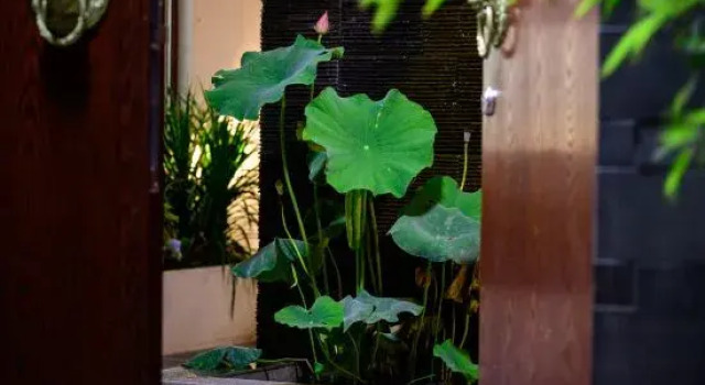 Lijiang · Cuiheyuan Green Peace Zen Retreat | Wellness | Courtyard-Style Hotel, Prenota Hotel Hotel SPA a Yunnan, SPA