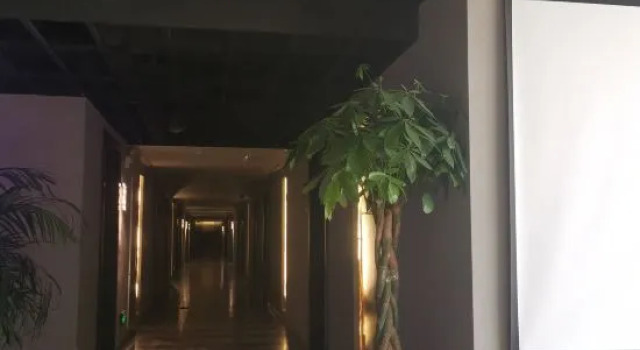 Xinyang Youmei E-sports Hotel