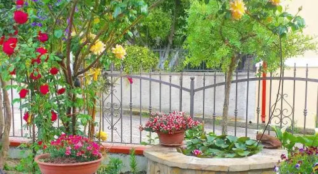 B&b il Giardino da Pina