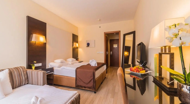 Трёхместный номер Standard Lions Garden Hotel