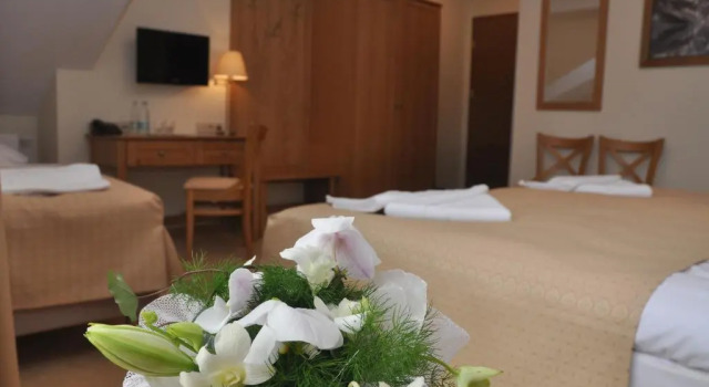 Номер Standard Hotel Alpejski