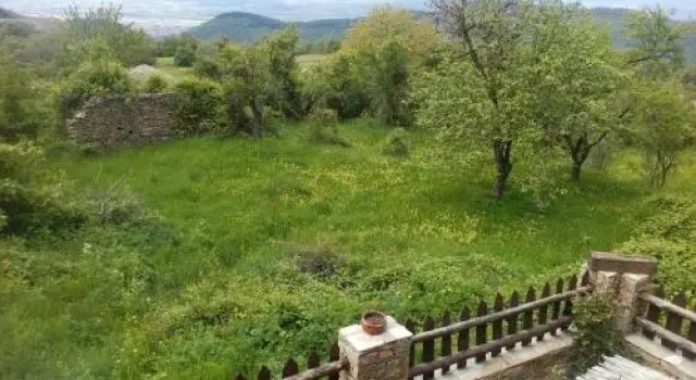 Skenderovata House