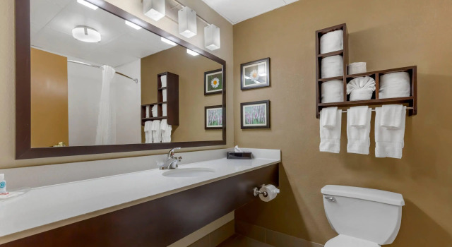 Четырёхместный люкс Comfort Suites Regency Park