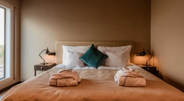 Двухместный номер Superior Clarion Hotel Aviapolis