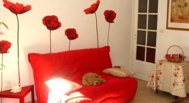 Coquelicots