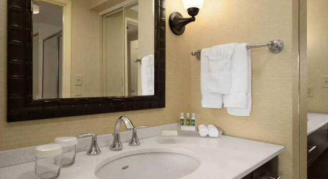 Люкс с 2 комнатами Homewood Suites by Hilton Tampa-Brandon