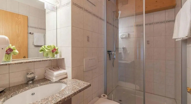 Двухместный номер Standard Aktiv- und Genusshotel Alpenblick