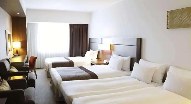 Номер Standard Ibis Styles Sapporo