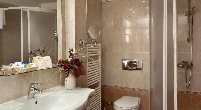 Двухместный номер Standard Hotel Forum