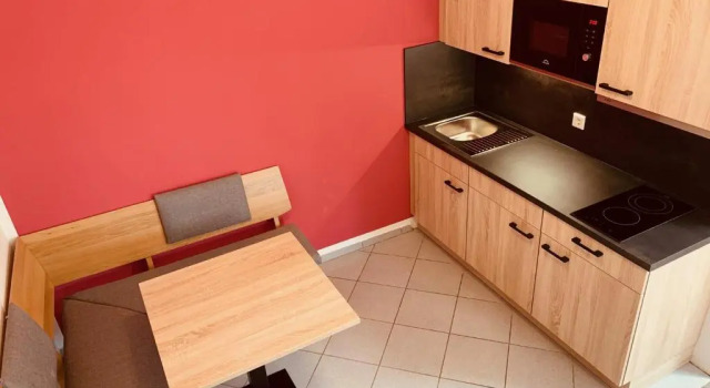Двухместный номер Standard Pension Lindenhof