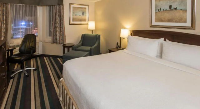 Номер Standard с красивым видом из окна Holiday Inn Conference Centre Edmonton South by IHG