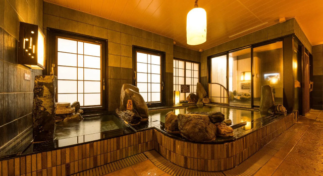 Run of House Dormy Inn Express Mikawa Anjo Natural Hot Spring