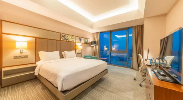 Двухместный номер Hilton Garden Inn Istanbul Atatürk Airport