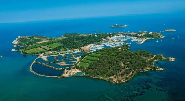 Апартаменты Bel appartement sur le port du Brusc avec sa place de parking privative.