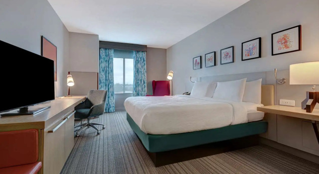 Люкс c 1 комнатой Hilton Garden Inn Tampa Northwest/Oldsmar