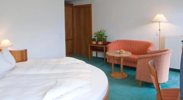 Двухместный номер Standard с видом на озеро Hotel Weisser Hirsch