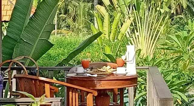 Вилла с видом на сад Taman Bintang Villa Ubud