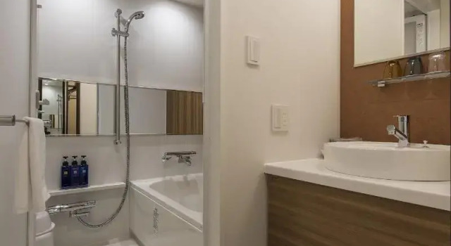 Двухместный номер Standard Tmark City Hotel Sapporo Odori