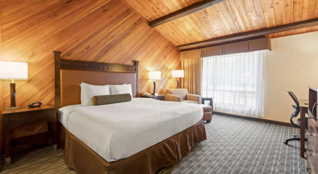 Двухместный номер Standard Best Western Plus Tree House