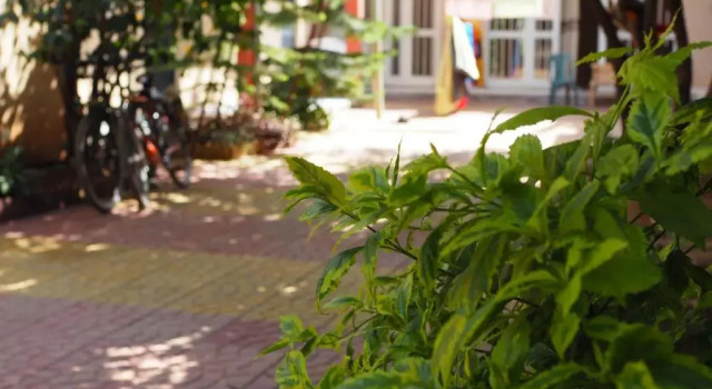 Номер Standard Manuhie Backpackers Lodge