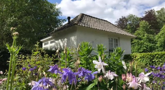Коттедж Het Witte Kasteel