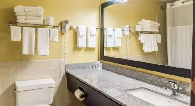 Четырёхместный люкс Цокольный этаж Quality Inn & Suites Mayo Clinic Area
