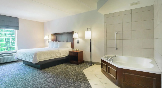 Двухместный номер Standard Hampton Inn & Suites Berkshires-Lenox